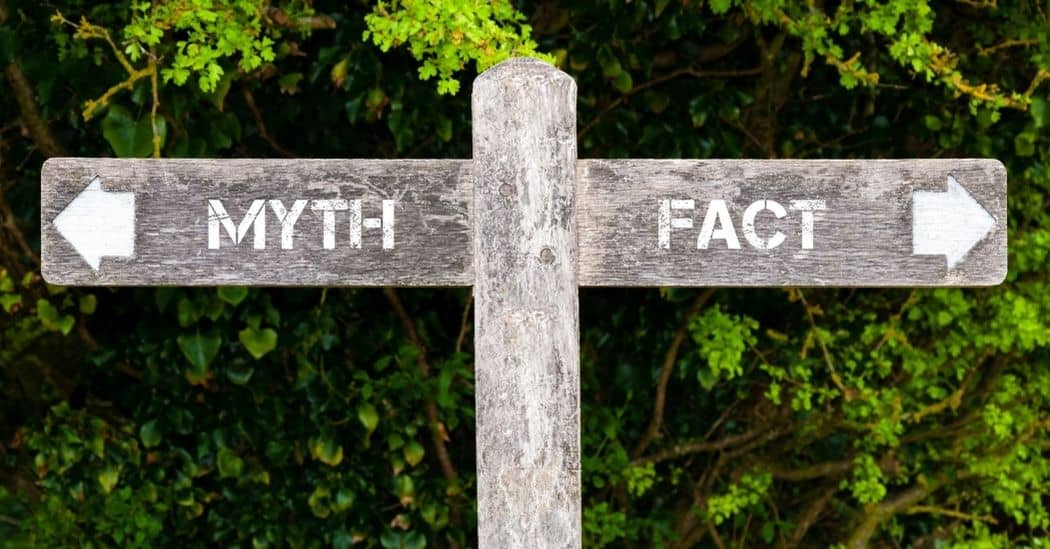foster care myths